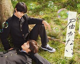 南城电子网站优化哪儿好